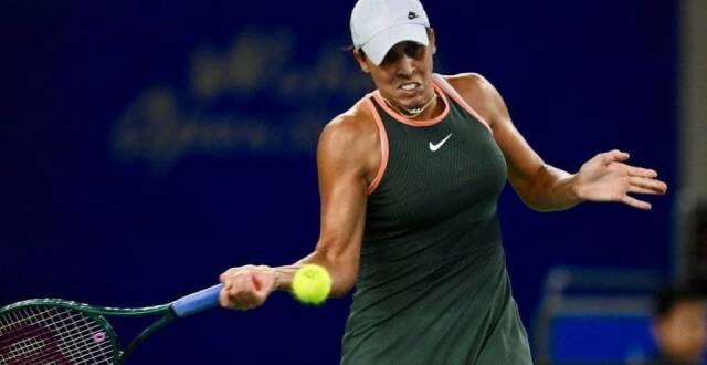 精彩纷呈的 精彩纷呈的