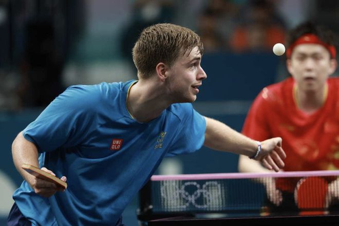 开展内容合 开展内容合